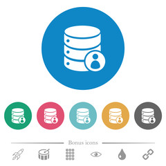 Database privileges flat round icons