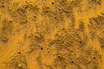 Beautiful sea mornings26