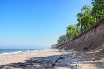 Gespensterwald und Ostseestrand in Nienhagen, Ostseeküste