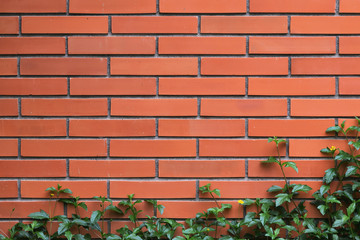 Climber on a brick wall.