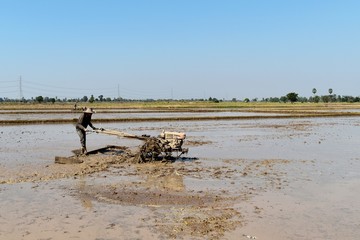 Fototapeta na wymiar worker plowing in rice field prepare plant rice