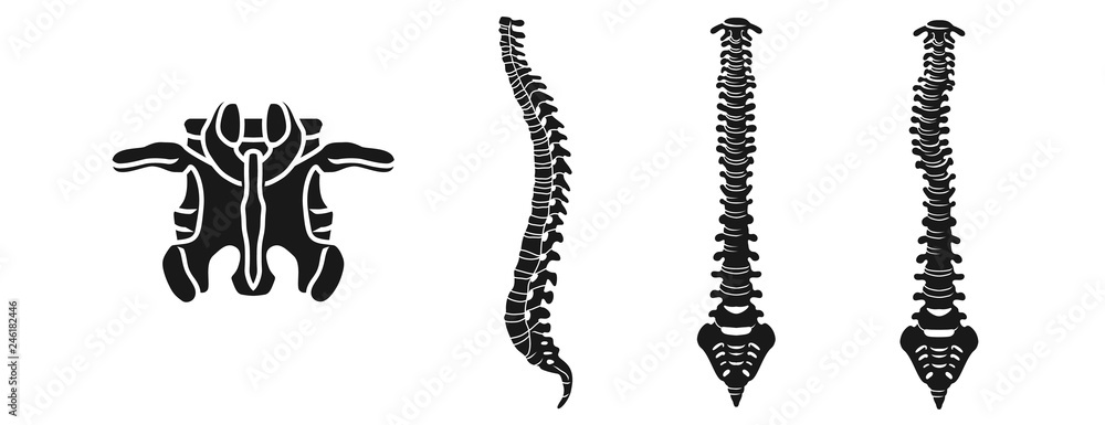 Wall mural spine icons set. simple set of spine vector icons for web design on white background