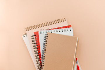 Stationary concept, Flat Lay top view Photo of  notepad and a green plant   on pink background with copy space.Creative flat lay photo minimal style. Flat lay blog mock-up. 