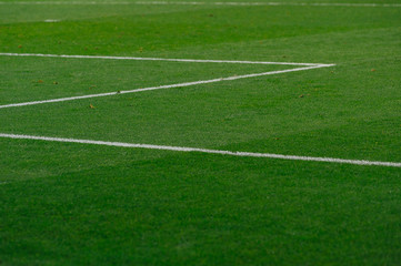 Obraz premium football field close up to the lines