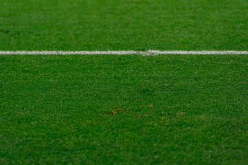 Obraz premium football field close up to the lines