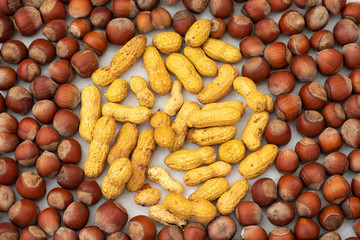 concept of peanuts surrounded by hazelnuts. Creative close-up