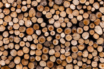 Sawed tree trunks and branches in different sizes, piled up in blue container Wood storage industry. Background of dry chopped firewood logs stacked up on top of each other in a pile.