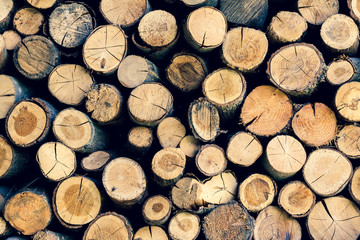 Background of dry chopped firewood logs stacked up on top of each other in a pile.