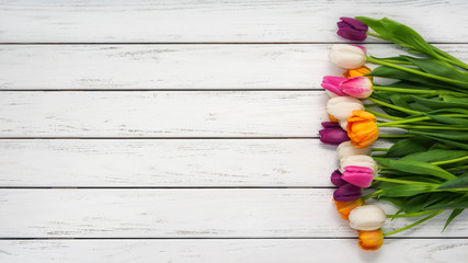 Beautiful tulips background