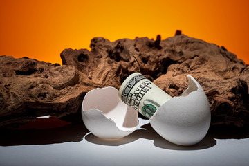 Conceptual photo. A hundred dollar bill rolled out of an egg. Near a piece of wood. - 246185041