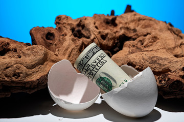 Conceptual photo. A hundred dollar bill rolled out of an egg. Near a piece of wood. - 246185096