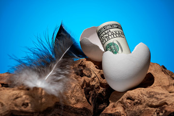 Conceptual photo. A hundred dollar bill rolled out of an egg. Near a piece of wood and a bird feather. - 246185099