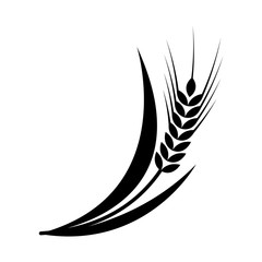 Symbols. for logo design Wheat. Agriculture, corn, barley, stalks, organic plants, bread, food, natural harvest, vector illustration on white