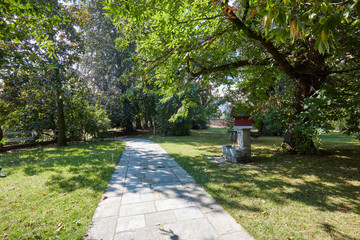 Stone tiled path with garden and chestnut trees in a sunny summer day, Italy