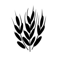 Symbols. for logo design Wheat. Agriculture, corn, barley, stalks, organic plants, bread, food, natural harvest, vector illustration on white