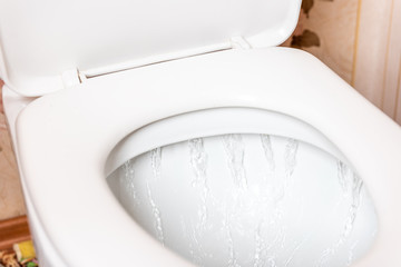 Cleaning of toilet with scrap brush. 