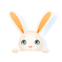 Easter cute bunny rabbit hole paws isolated design template vector illustration