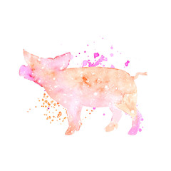 Watercolor pig silhouette