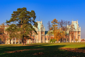 Grand palace in Tsaritsyno park in Moscow on a background of old tall spruce on the lawn at sunny autumn day