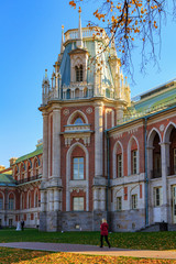 Fototapeta na wymiar Building of Grand palace in Tsaritsyno park in Moscow against blue sky at sunny autumn day