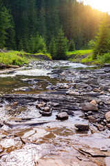Fototapeta premium beautiful mountain river