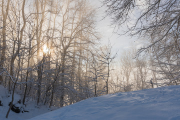 Idylle im Winter mit Sonnenlicht und Schnee