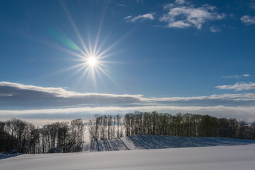 Wintertraumlandschaft mit Schnee uns Sonne