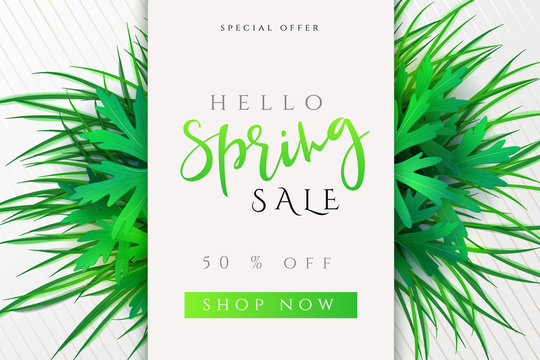 Vector illustration of spring promotion banner template with hand lettering label - spring - with realistic grass and leaves