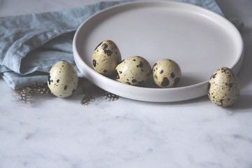 Obraz premium The quail eggs dish towel bird feathers