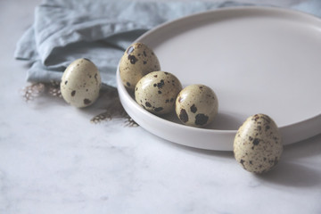 The quail eggs dish towel bird feathers