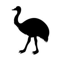 Vector, flat image of ostrich isolated on white background