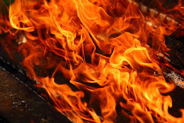 Fire is a phenomenon of nature that turns all flammable materials into thermal energy and light.