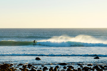 Surfer on the wave of the ocean. Warm sunny day. Sport. Relaxation.