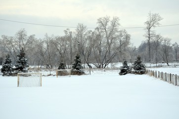 Fototapeta na wymiar winter in park