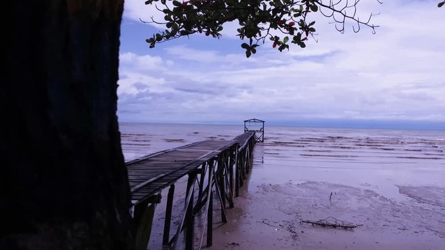 Bridge Behind The Tree. Somewhere nearby Batu Payung, Tawau, Sabah.