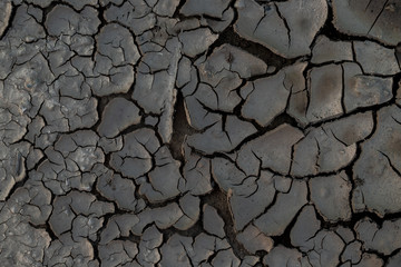 Dry land in summer