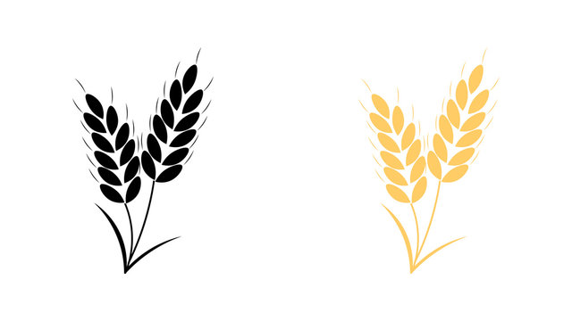 Whole grain icon vector design