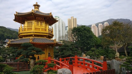 Fototapeta premium Jardin Nan Lian en Hong Kong