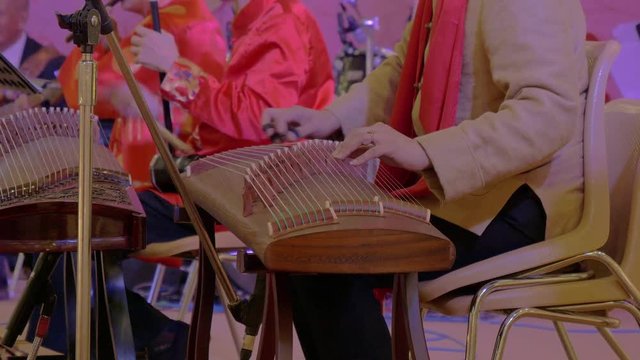 Chinese playing the national instrument - Guzheng