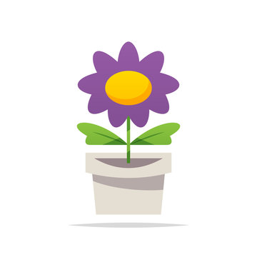 Flower in pot vector isolated