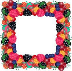 vector illustration of frame from the berries