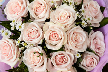 Fototapeta premium Ramo de rosas de color rosa.