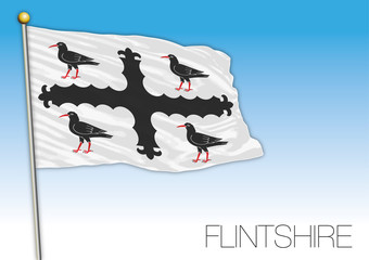 Flintshire county flag, United Kingdom, Wales, vector illustration