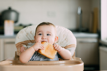 baby in the kitchen in the high chair there is a piece of bread