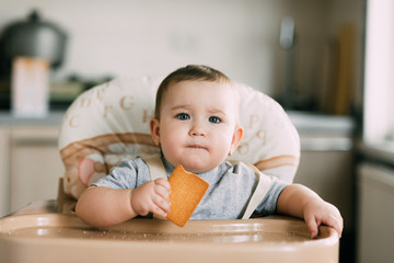 little girl in a high chair eating cookies