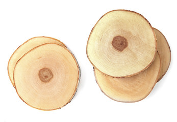 Serving wood trays isolated on white background. Cut birch tree round stump top view.