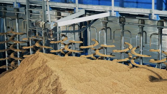 Factory machine sorting grain, close up. Malt processing equipment at malt plant, brewery.