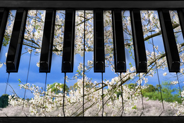 Spring background on the piano keys