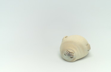 アザラシ　おき