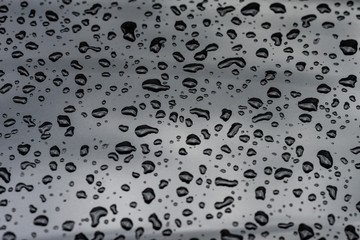 drops of water on the car after rain - Image